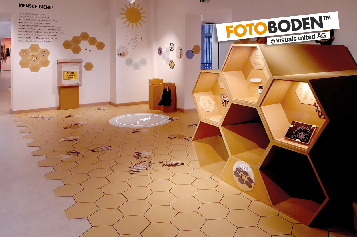 FOTOBODEN™ individuell bedruckt im Naturkundemuseum Potsdam. Illustrierte Bieenen auf Bienenwaben.