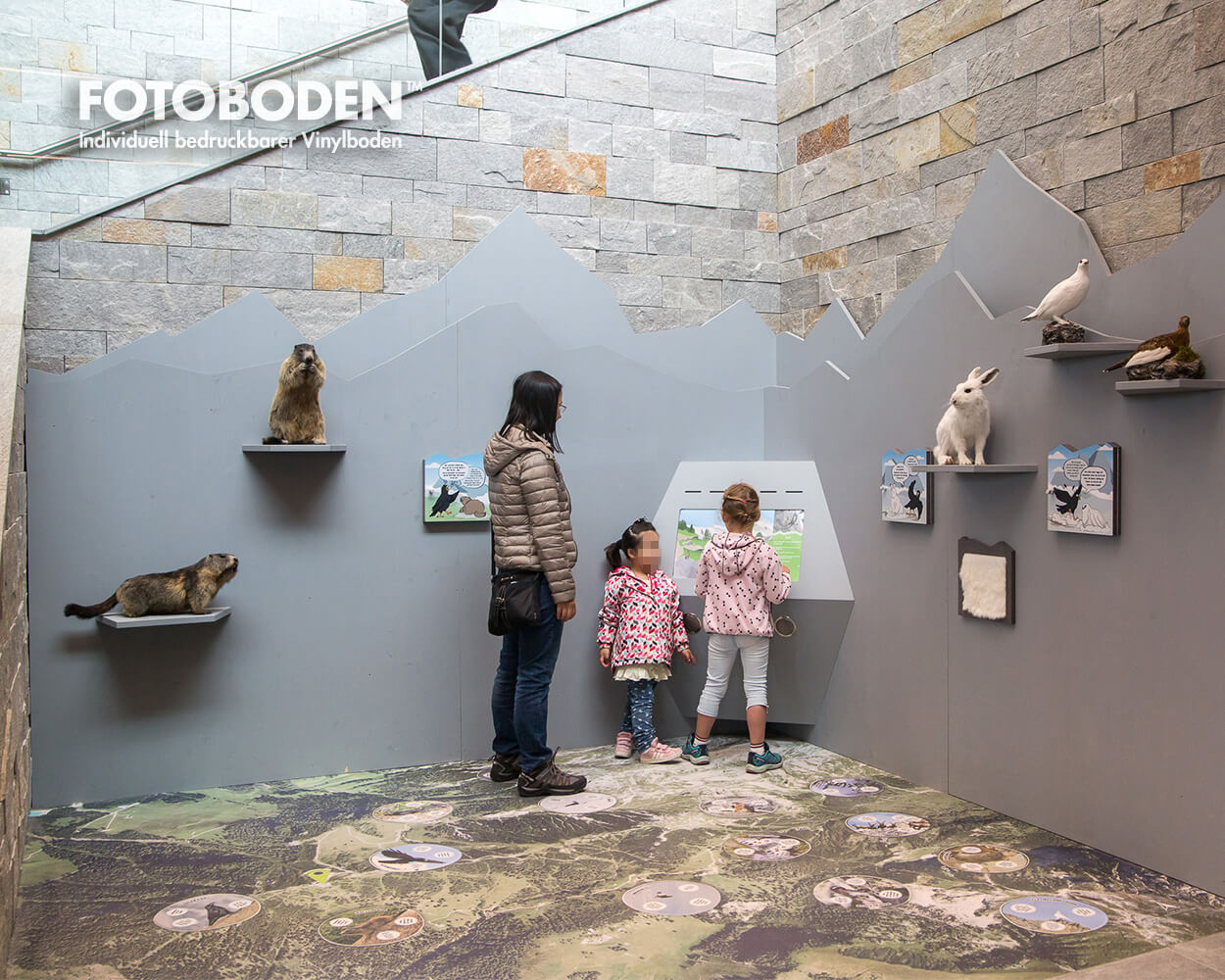 Ausstellung Museum Raumkonzept