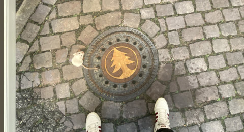 MaisGulli MaisGulli